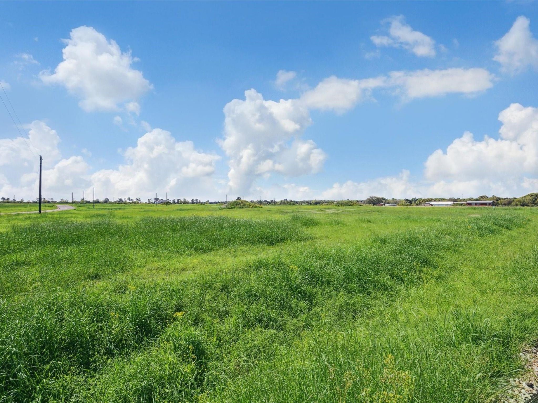 Lot 35 Ridgeview Drive Cat Spring, TX 78933 - Photo 5 of 18 a backyard of a house with lots of green space