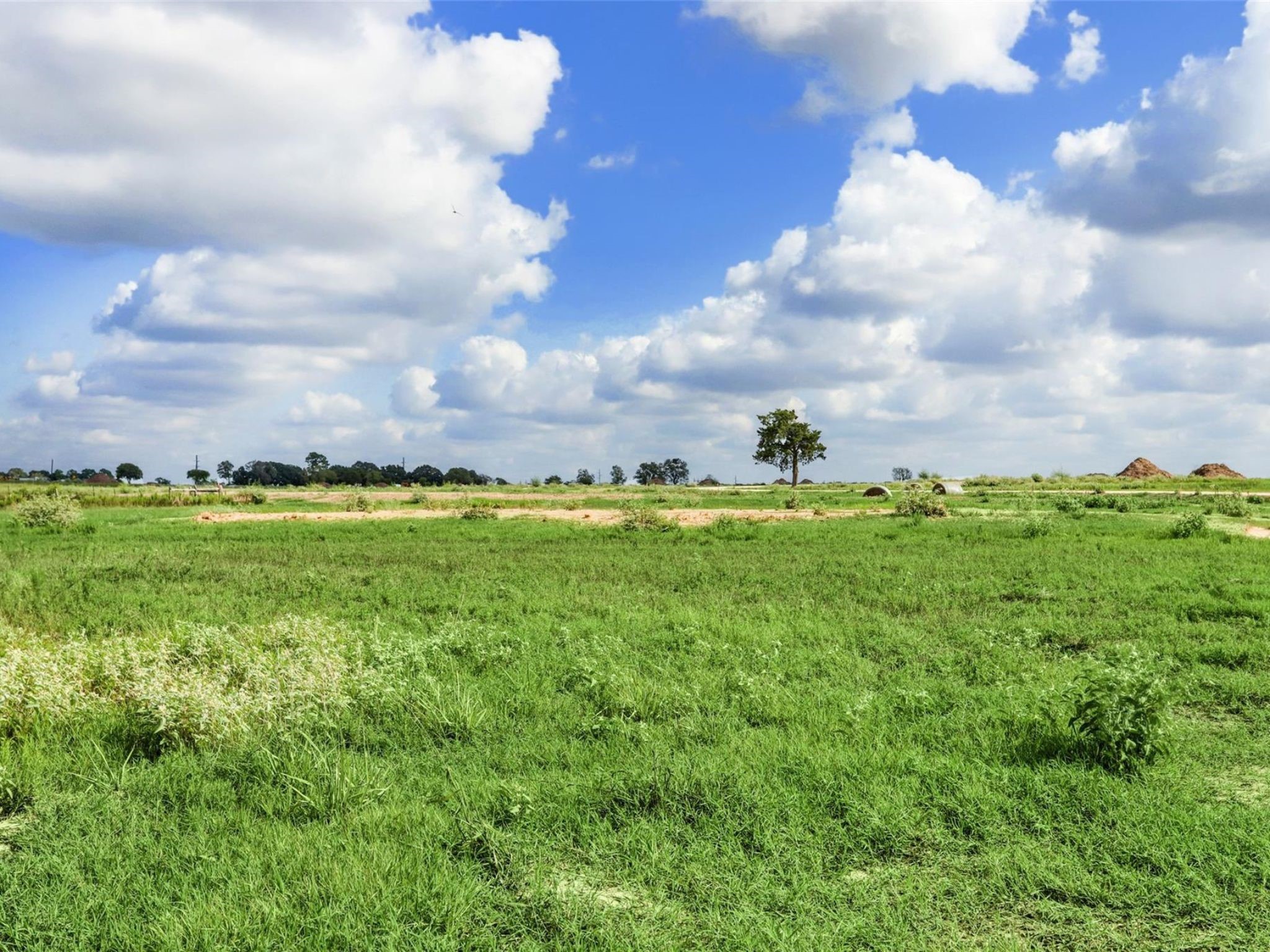 Lot 35 Ridgeview Drive Cat Spring, TX 78933 - Photo 6 of 18 a view of a green field