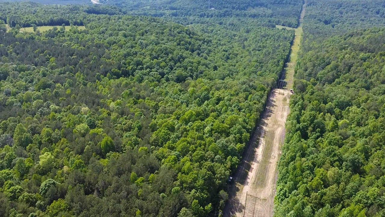 0 Co Road Bremen, AL 35033 - Photo 16 of 17 CO RD 18 9 copy