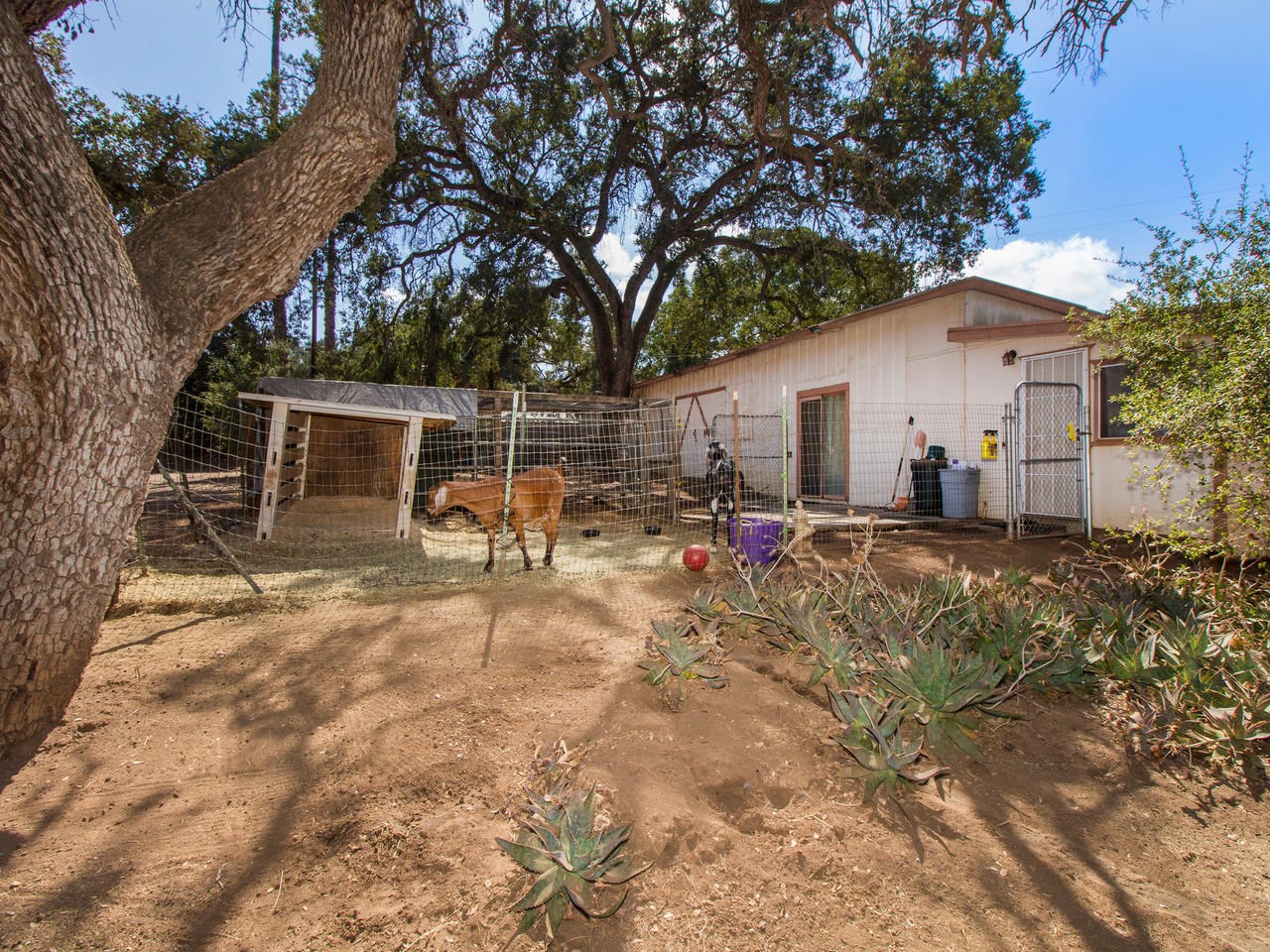 30959 Valley Center Road Valley Center, CA 92082 - Photo 23 of 24