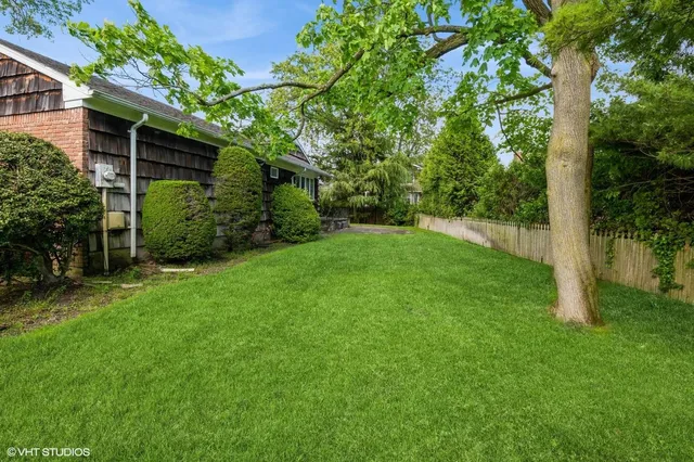 a view of a backyard with plants and large trees