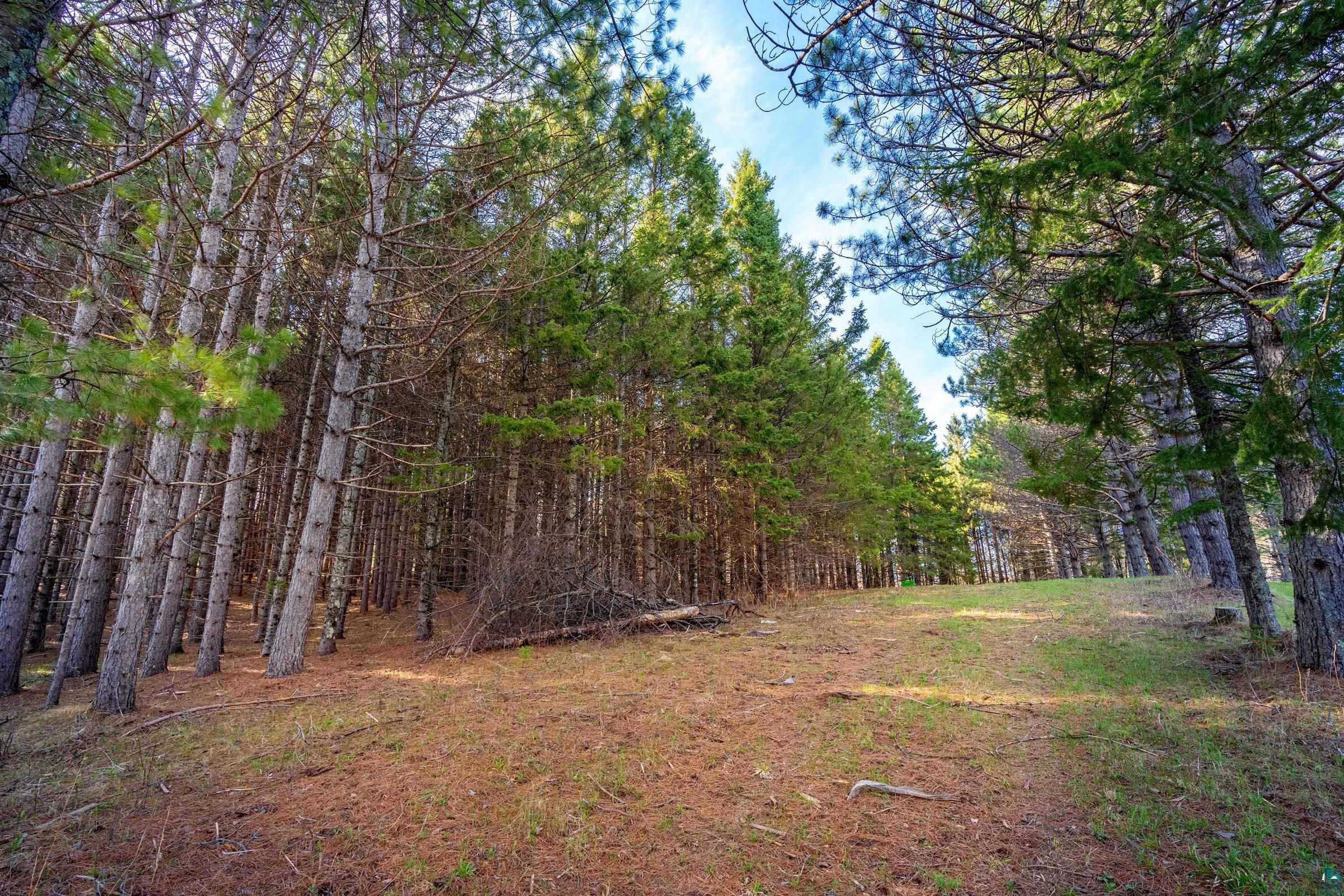 38-xx Norton Road Duluth, MN 55803 - Photo 5 of 12