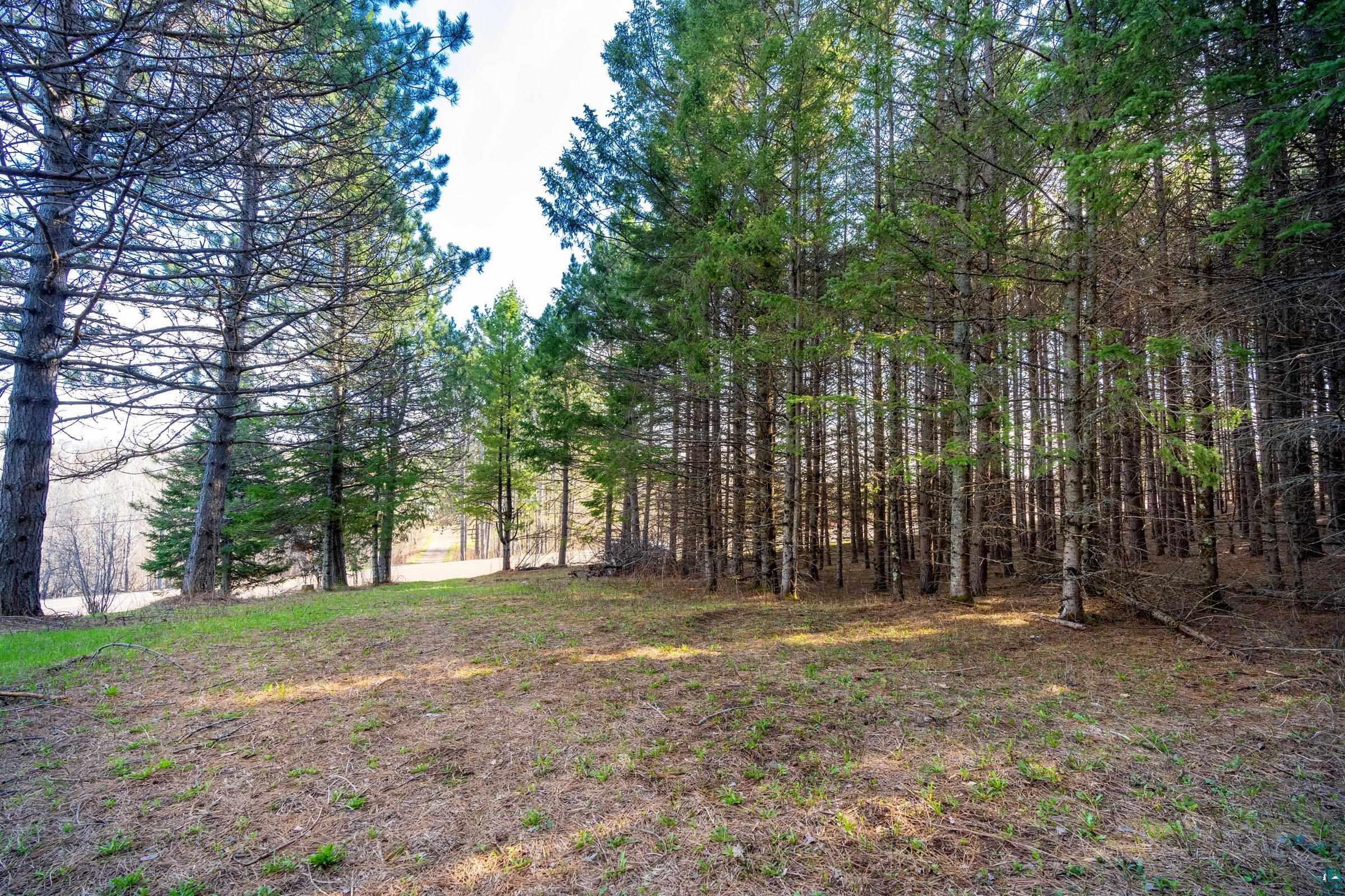 38-xx Norton Road Duluth, MN 55803 - Photo 7 of 12