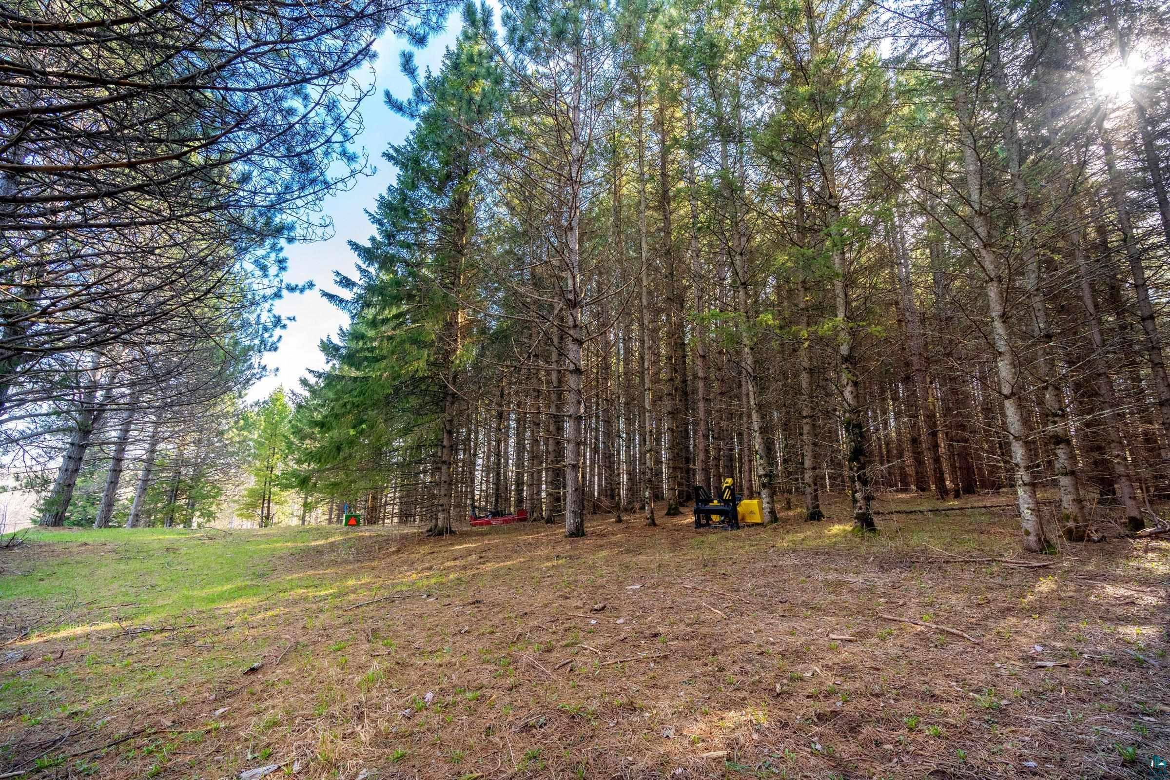 38-xx Norton Road Duluth, MN 55803 - Photo 8 of 12