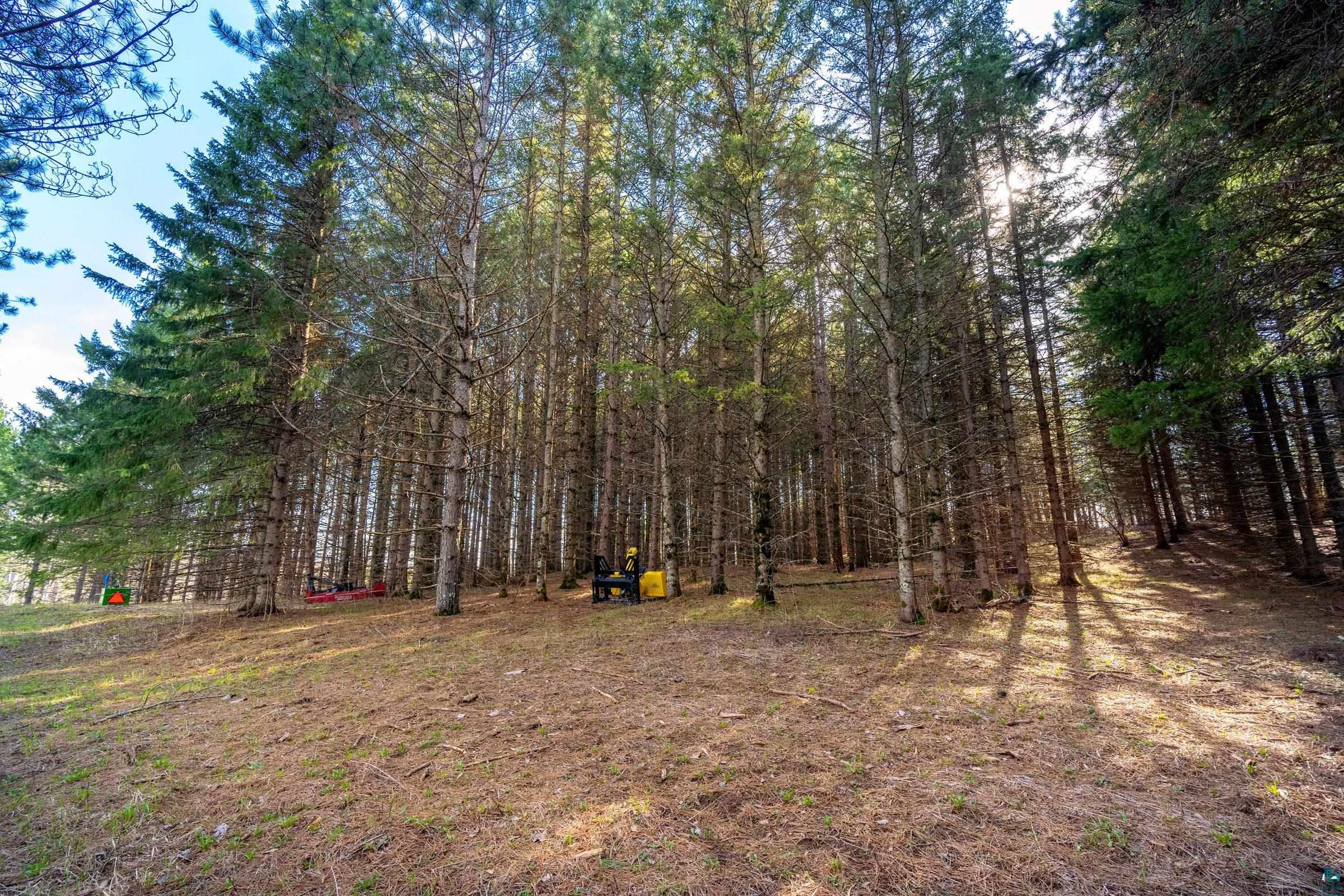 38-xx Norton Road Duluth, MN 55803 - Photo 9 of 12