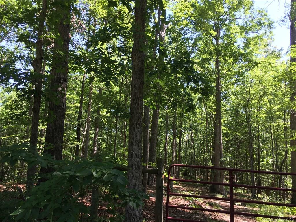 0 Burns Road Smyrna, SC 29743 - Photo 2 of 3