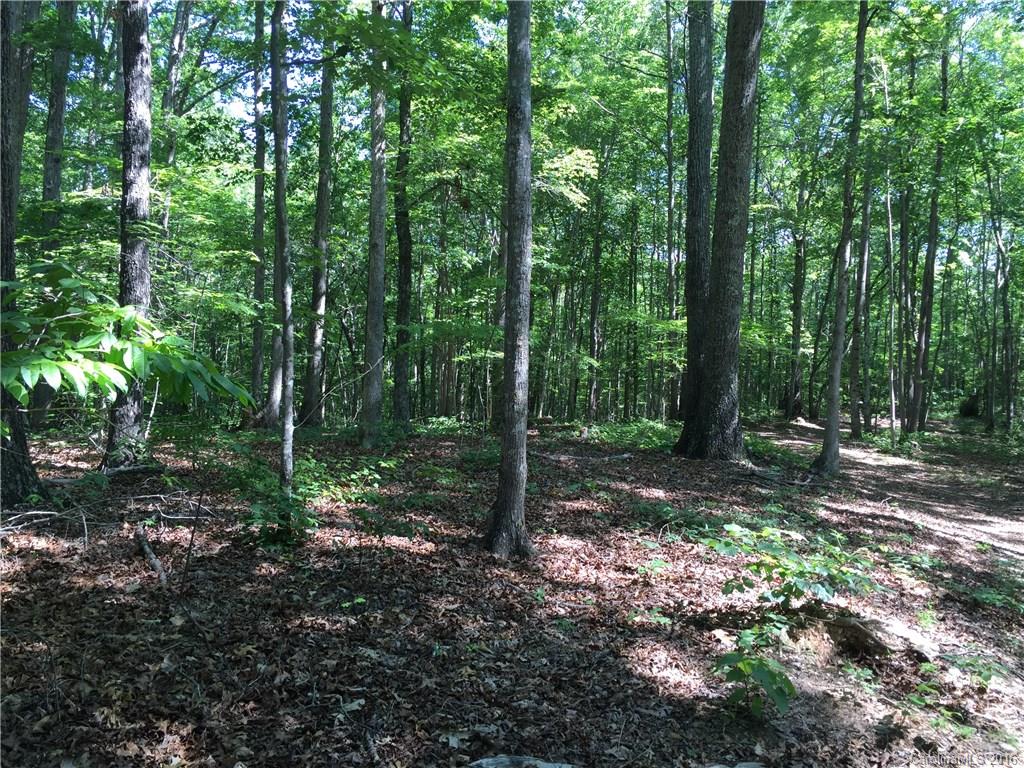0 Burns Road Smyrna, SC 29743 - Photo 3 of 3