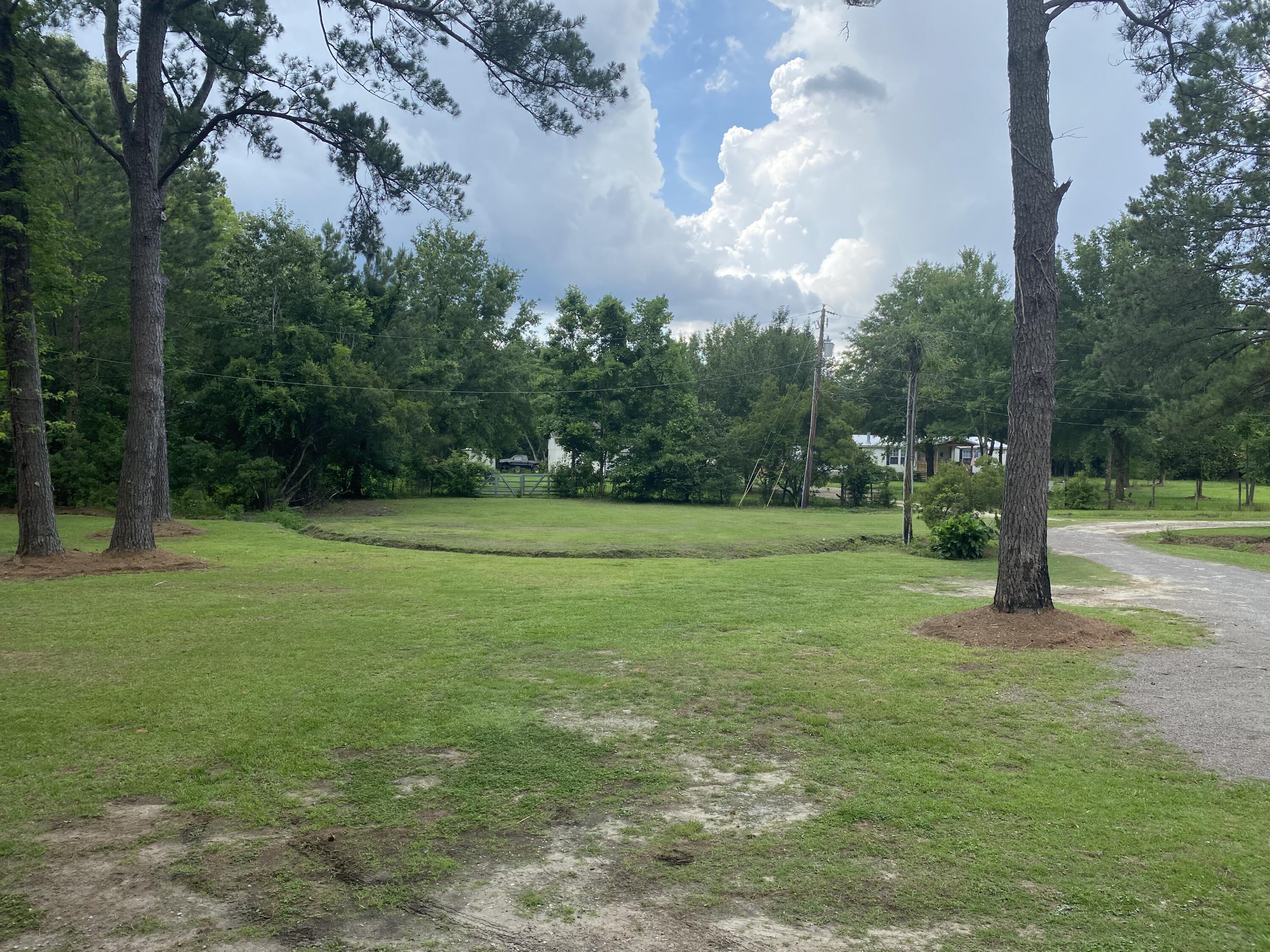 7364 Driggers Road Hollywood, SC 29449 - Photo 4 of 24 View From the front porch