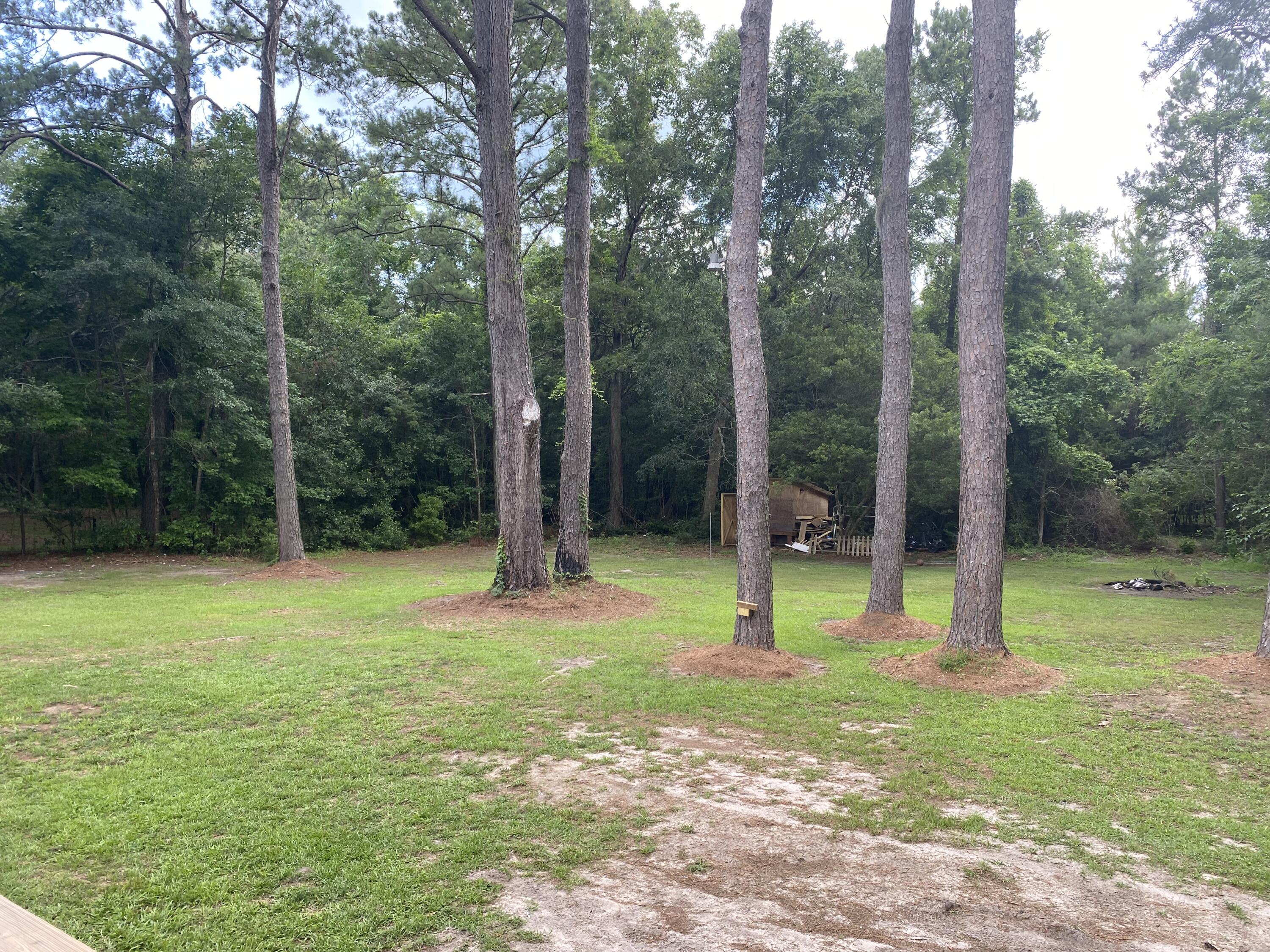 7364 Driggers Road Hollywood, SC 29449 - Photo 5 of 24 Private Yard
