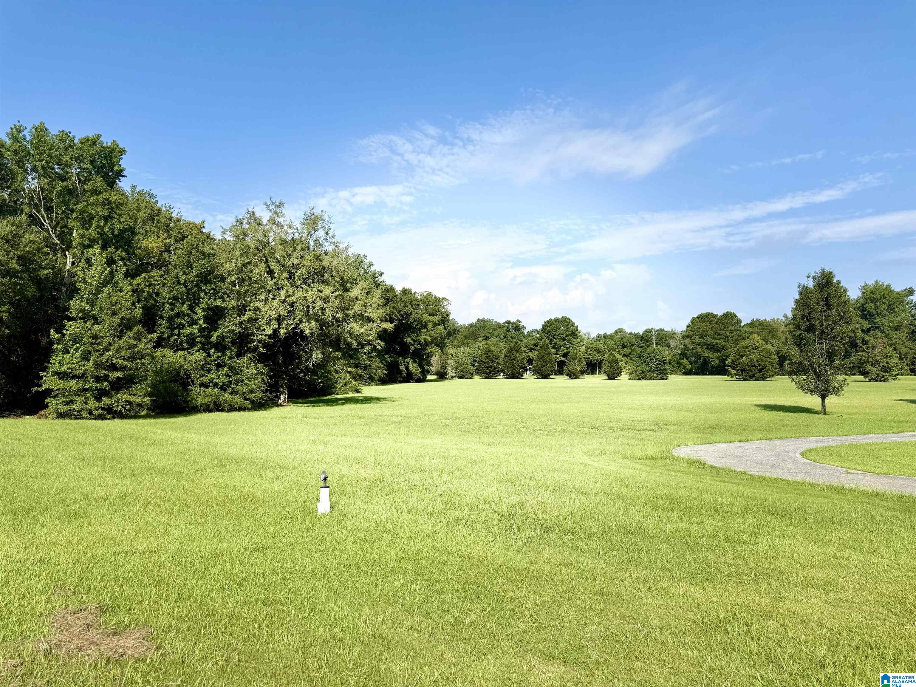 2145 Golf Course Road Pell City, AL 35128 - Photo 29 of 88