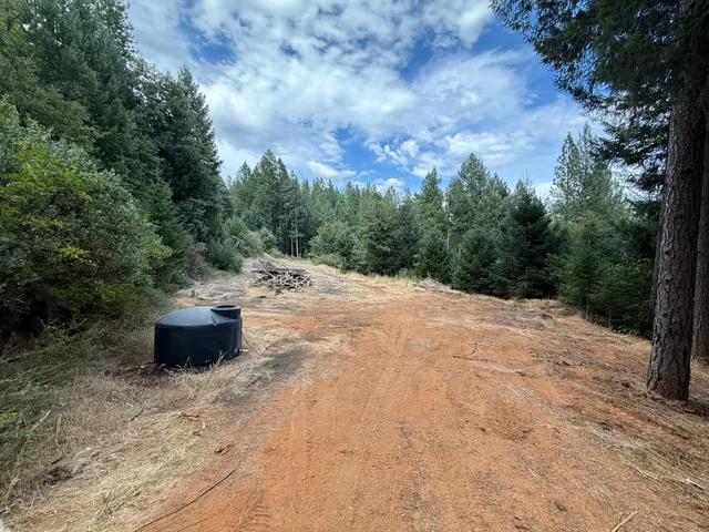 a view of a dry yard with trees