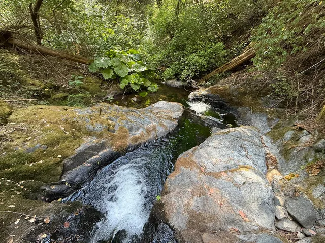 $128,900 | 19707 Grizzly Creek Road, Nevada City, CA 95959