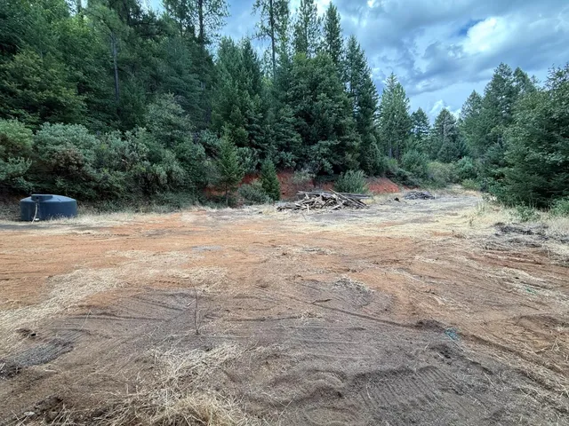 a view of backyard with green space
