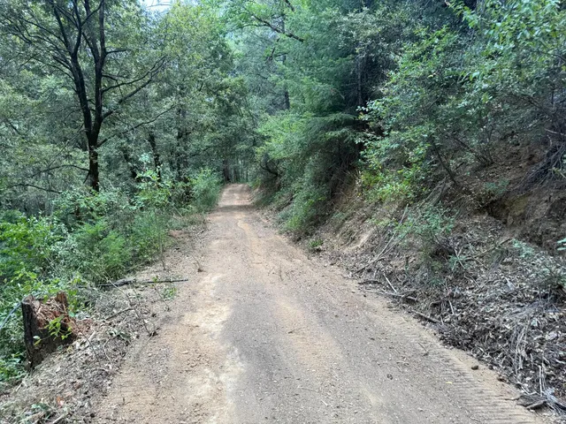 a view of a dry yard with lots of green space