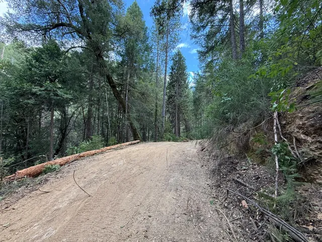 a view of a road with a trees