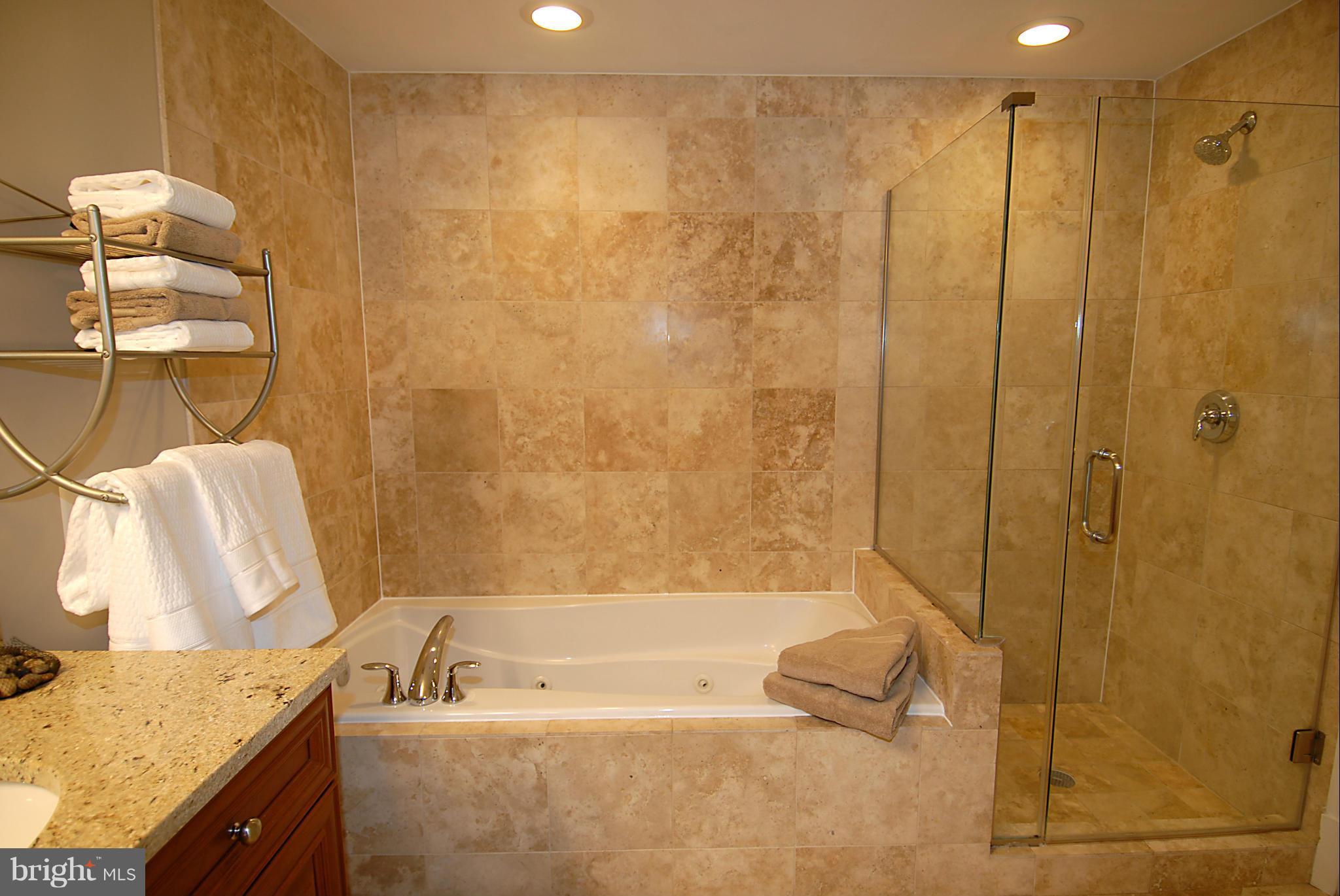 11990 Market Street, Unit 1315 Reston, VA 20190 - Photo 18 of 30 Master Suite with Separate Shower and Tub