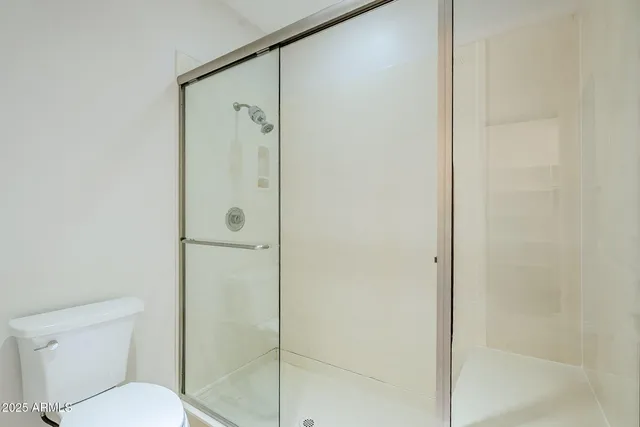 a bathroom with a shower and a toilet