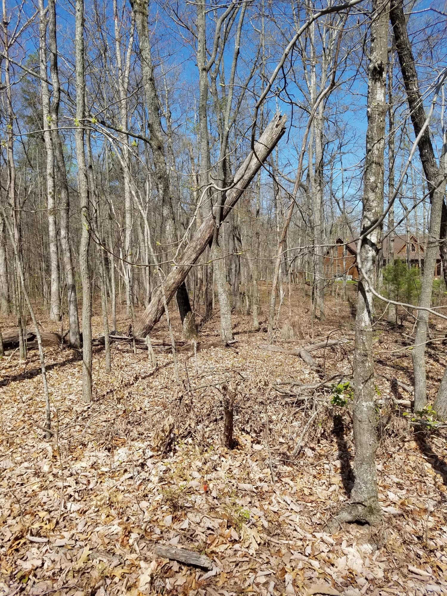 2023 Sawyer Road Signal Mountain, TN 37377 - Photo 1 of 5 Gallery Image 1