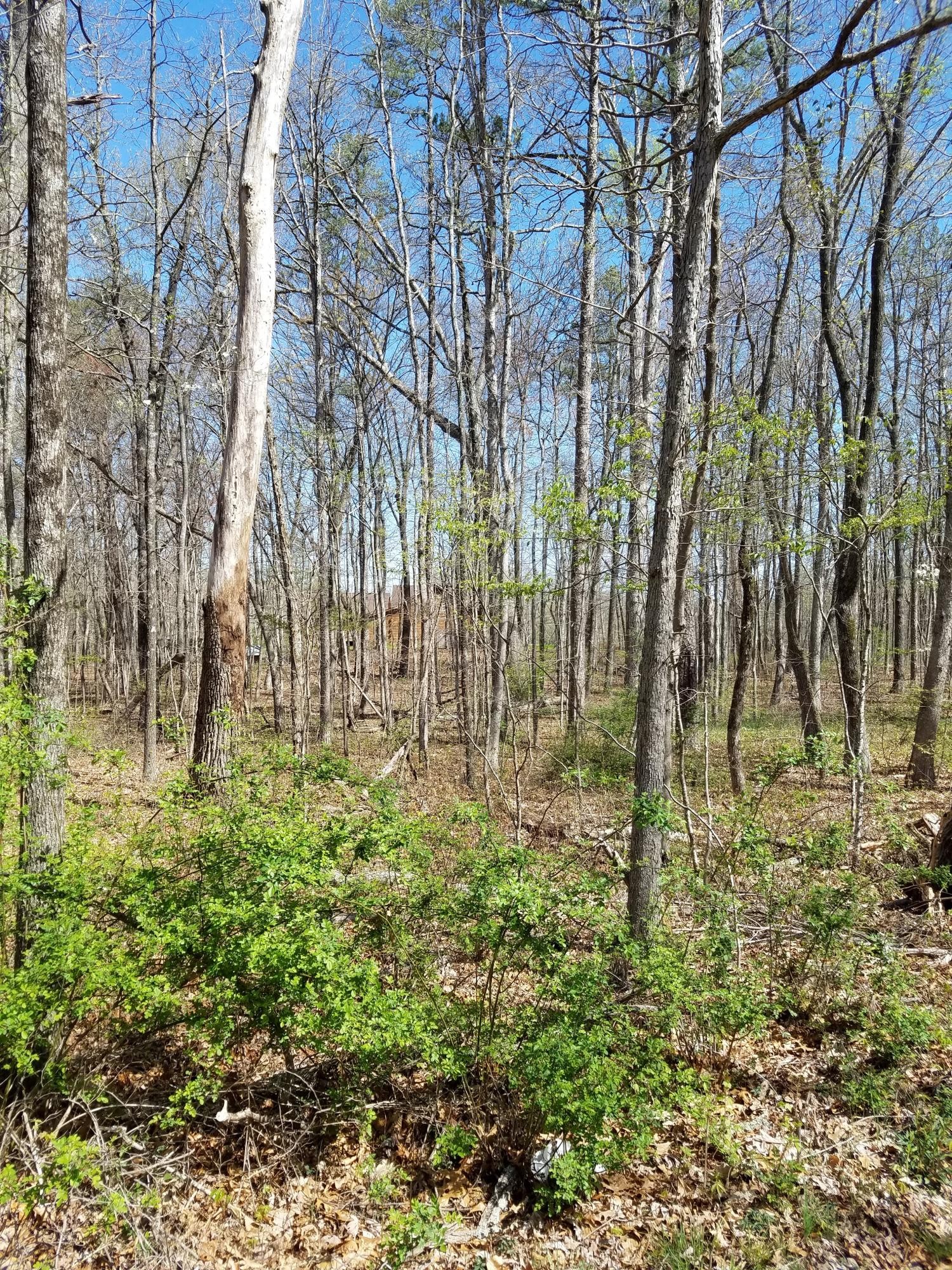 2023 Sawyer Road Signal Mountain, TN 37377 - Photo 5 of 5 Gallery Image 5