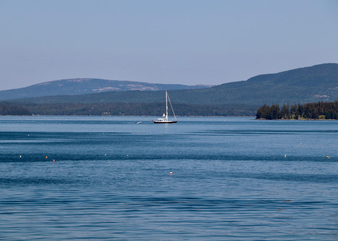 220 Flye Point Road Brooklin, ME 04616 - Photo 6 of 45 IMG_7905