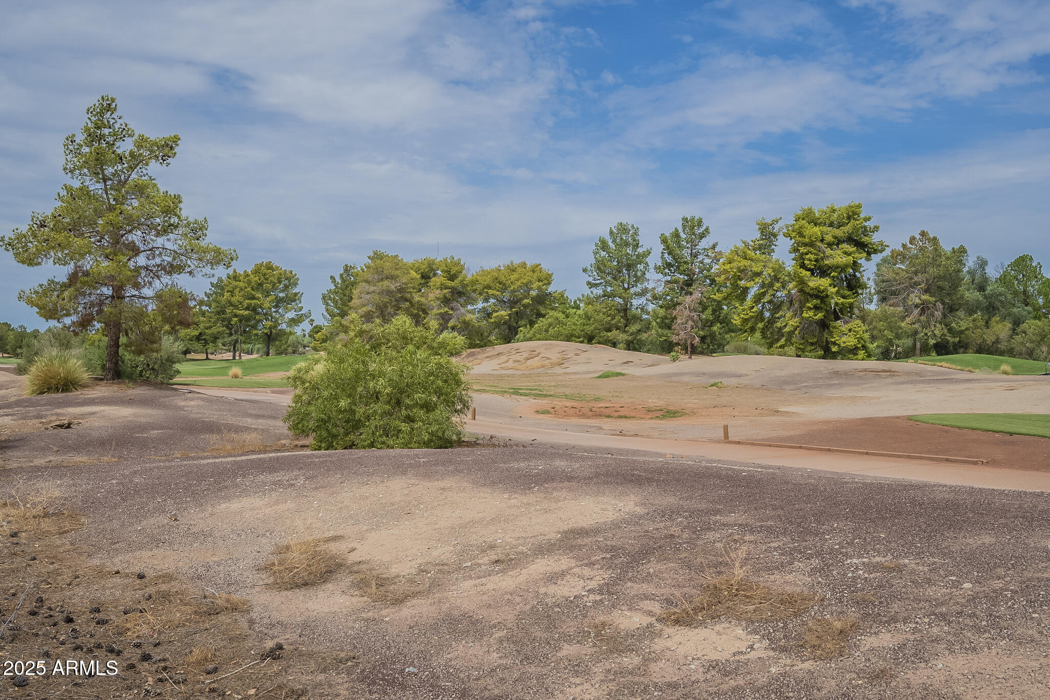 3910 East Carson Road Phoenix, AZ 85042 - Photo 47 of 53 Carson-47