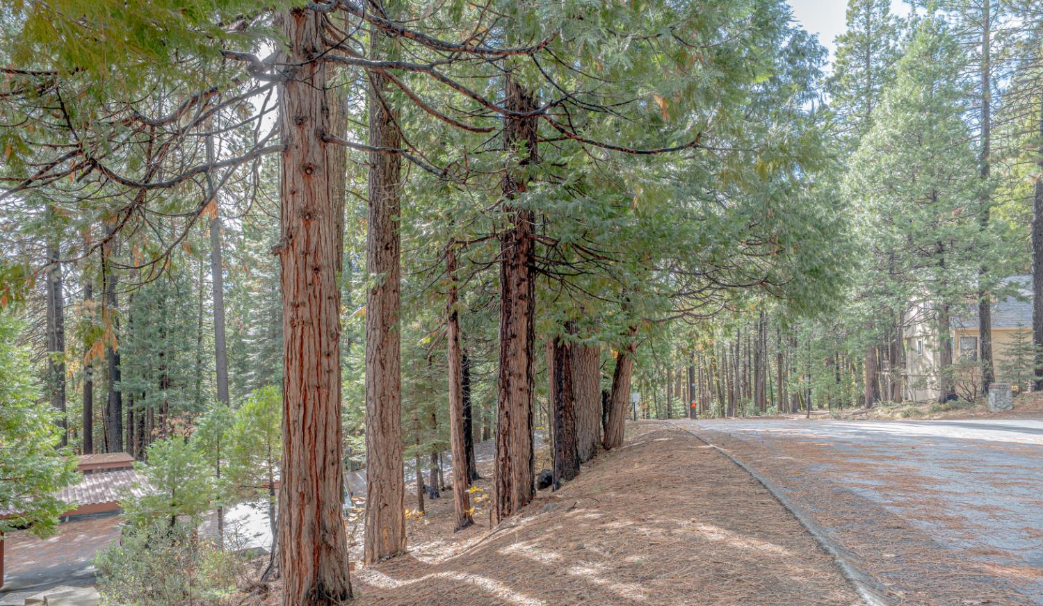 1002 Manuel Road Arnold, CA 95223 - Photo 28 of 34