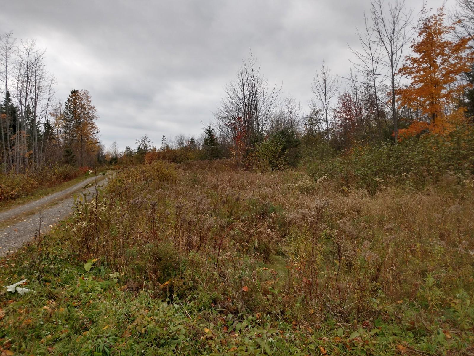 Lot 9 Spring Hill, Unit ACRES Amity, ME 04471 - Photo 5 of 5 IMG_20181019_144220175_HDR