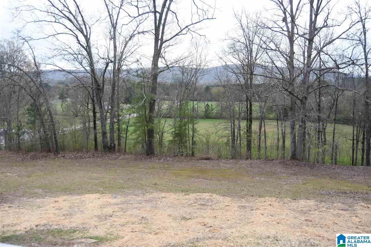 4380 Eulaton Road Anniston, AL 36201 - Photo 44 of 45
