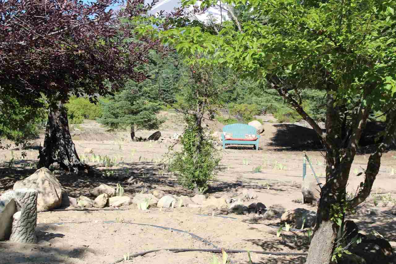 Lot 5 Davis Place Road Mount Shasta, CA 96067 - Photo 5 of 11 Gallery Image 5