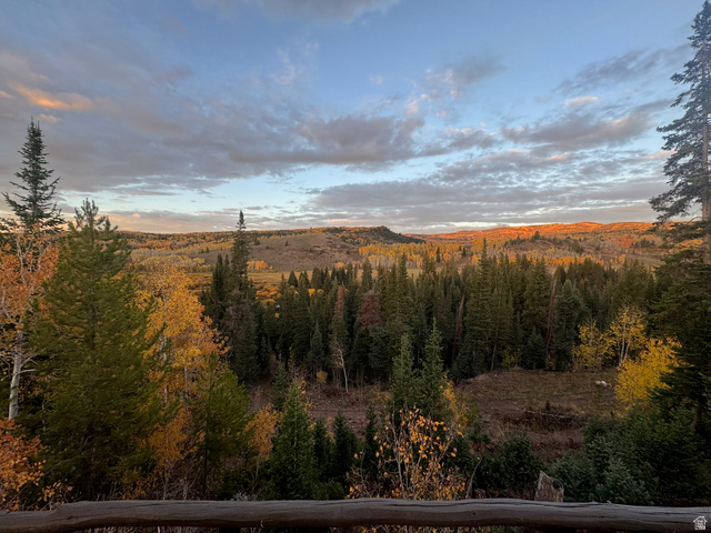 1663 Lancer Lane Evanston, UT 82930 - Photo 40 of 101 Expansive forested landscape featuring evergreen trees and deciduous trees with autumn foliage