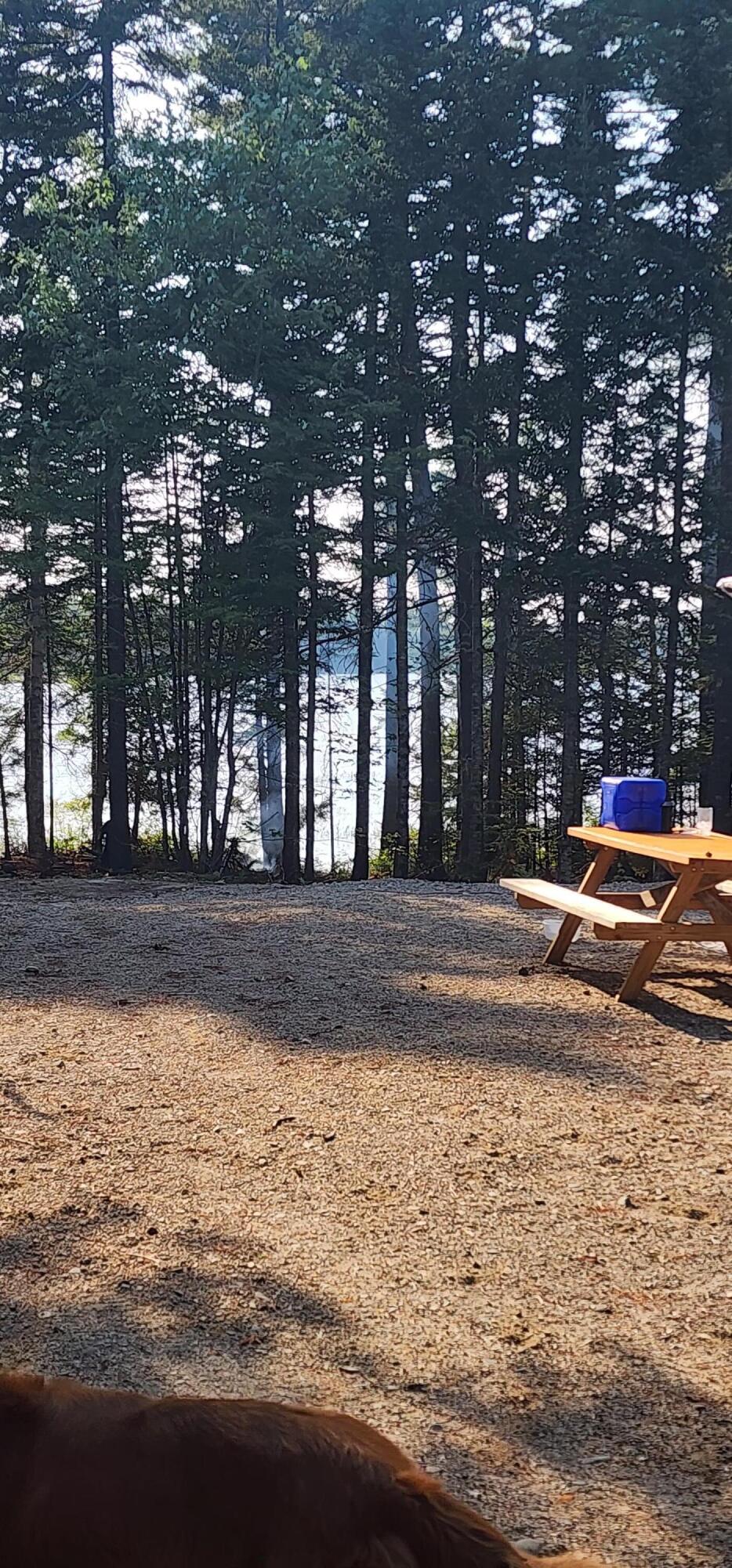 6 Wilderness Way Wesley, ME 04686 - Photo 19 of 26 1000006916