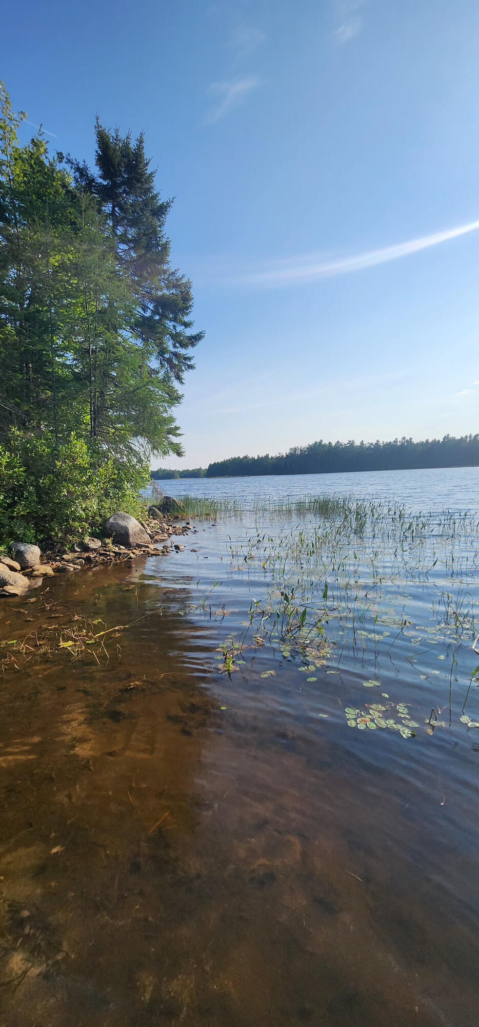 6 Wilderness Way Wesley, ME 04686 - Photo 4 of 26 1000006926