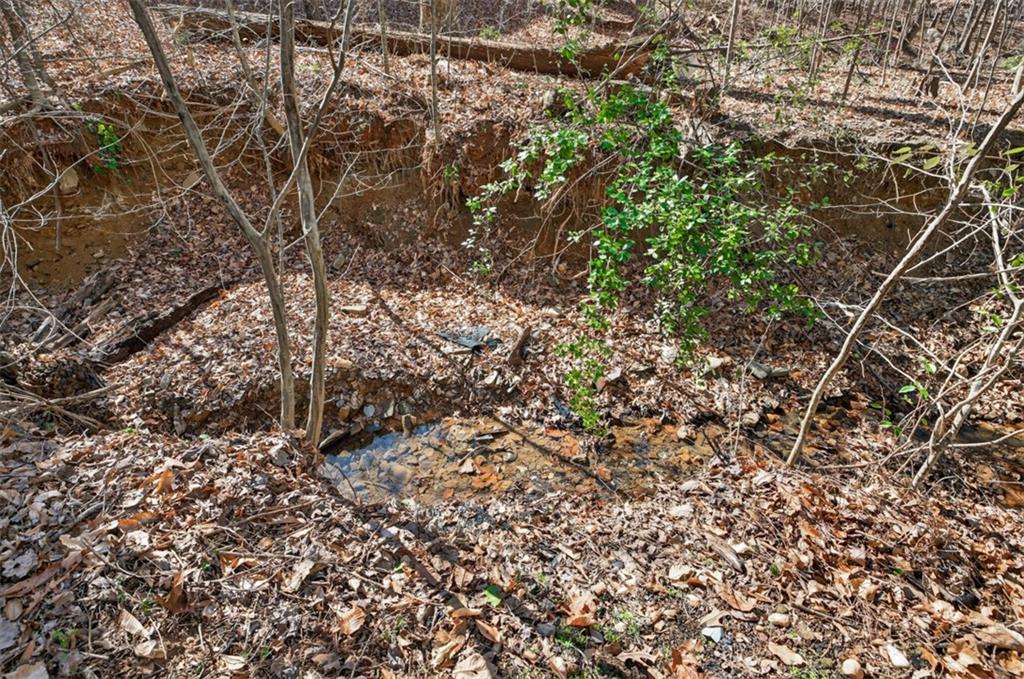 2130 Hickory Cove Cumming, GA 30041 - Photo 67 of 79