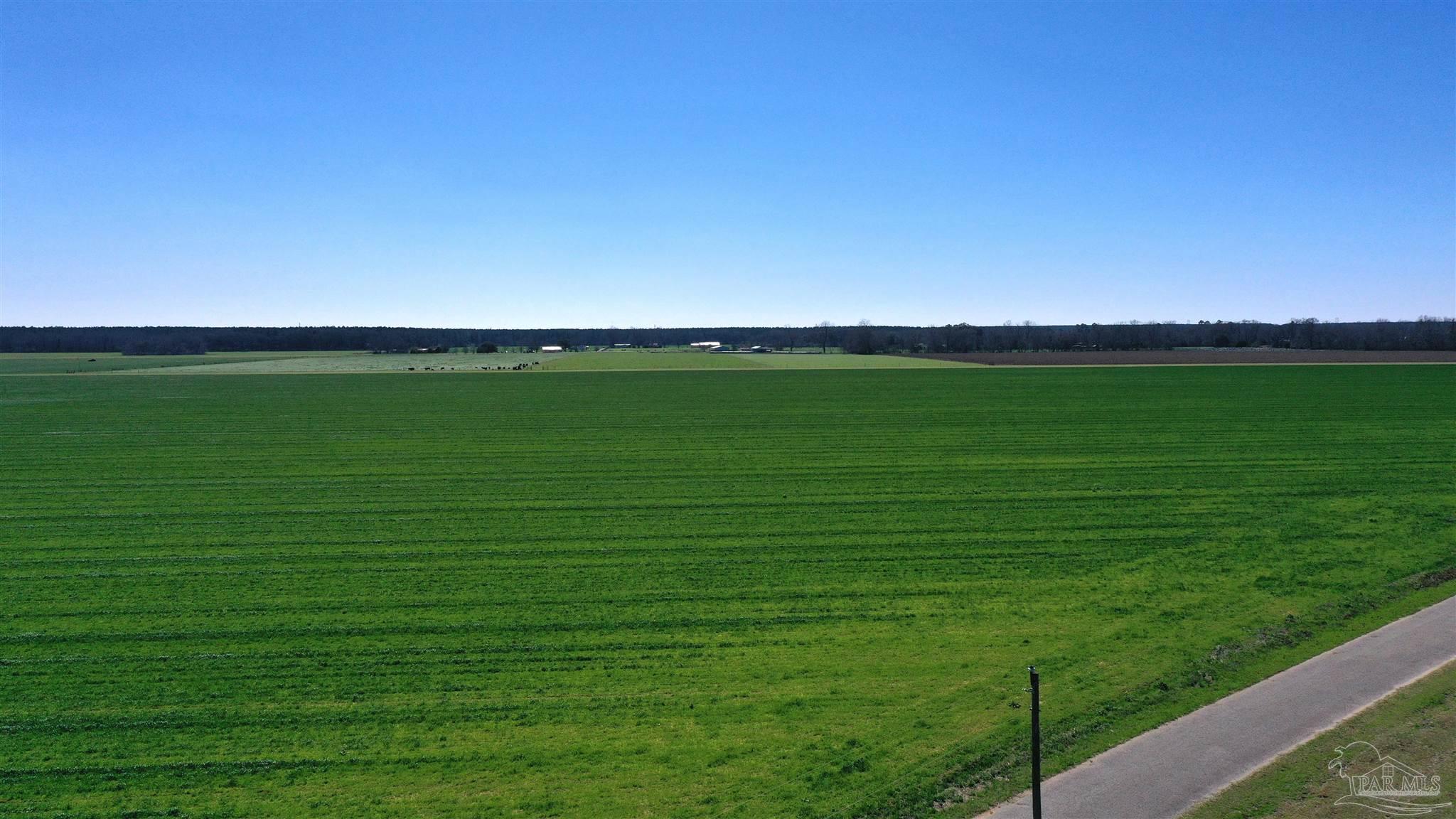 Lot 8 Mack Pond Road Atmore, AL 36502 - Photo 2 of 8