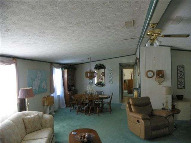 153 Tower Road Panacea, FL 32346 - Photo 8 of 11 Gallery Image 8