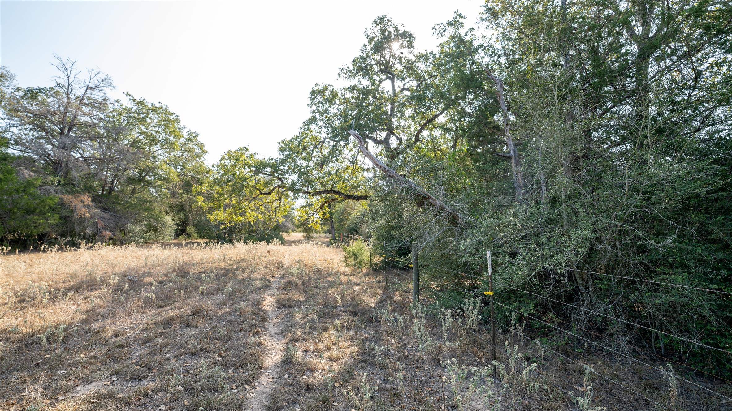 5 Cedar Rock Road Rosanky, TX 78953 - Photo 10 of 10 A tranquil, secluded parcel with natural foliage and open fields, offering a peaceful rural escape.