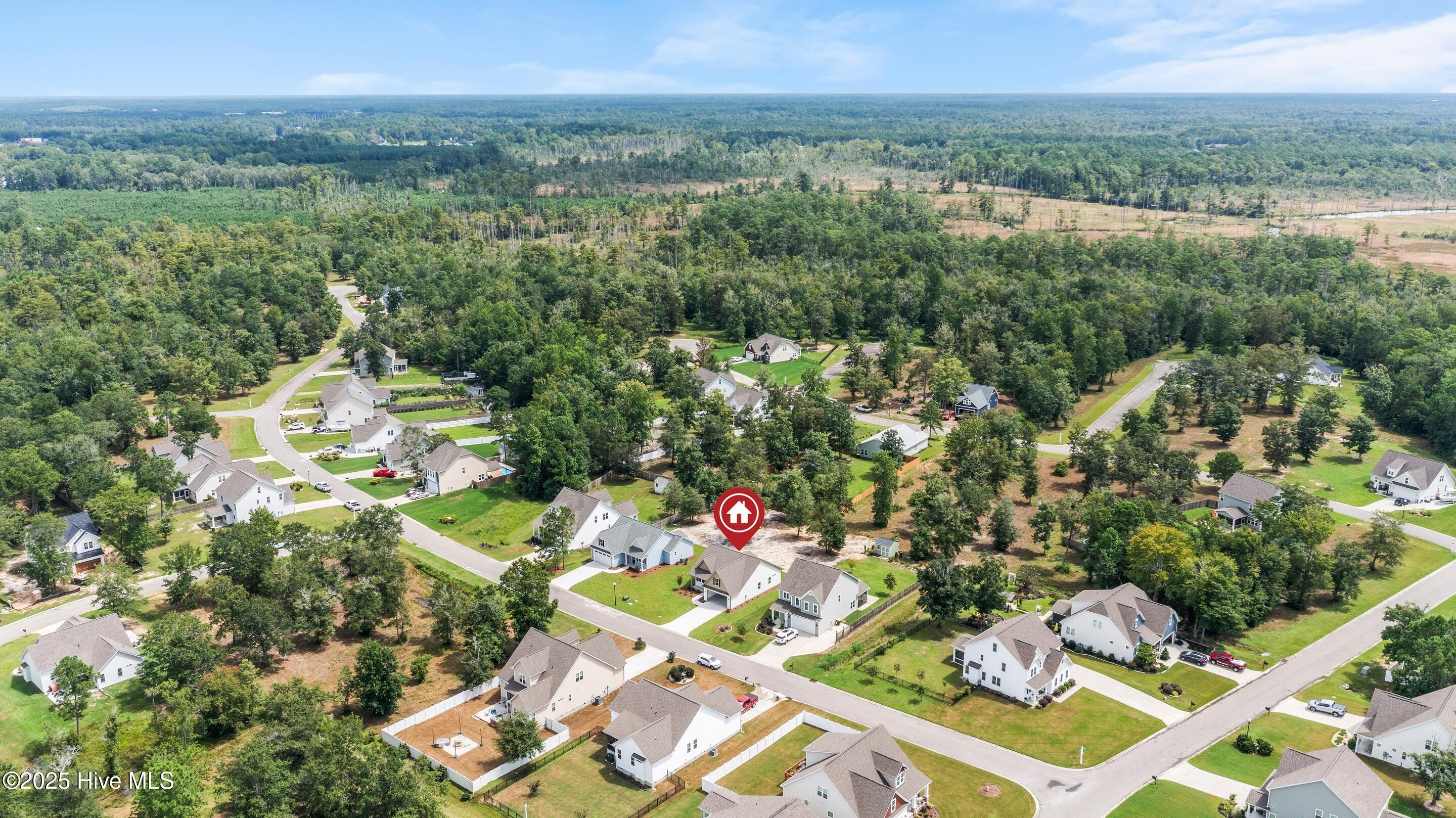658 Sanctuary Point Southwest Supply, NC 28462 - Photo 60 of 82 mls-DJI_0278 copy1