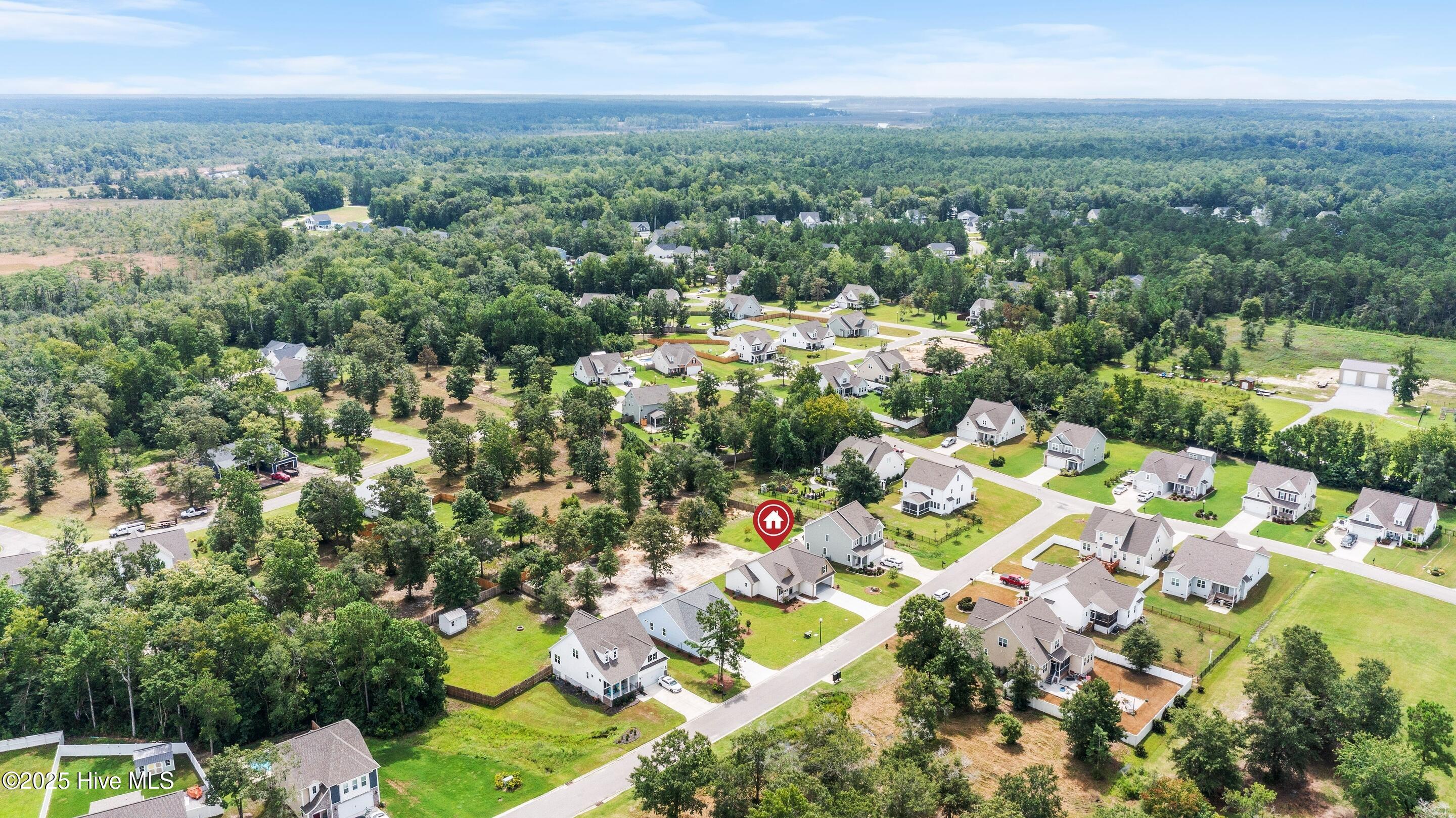 658 Sanctuary Point Southwest Supply, NC 28462 - Photo 61 of 82 mls-DJI_0279 copy1