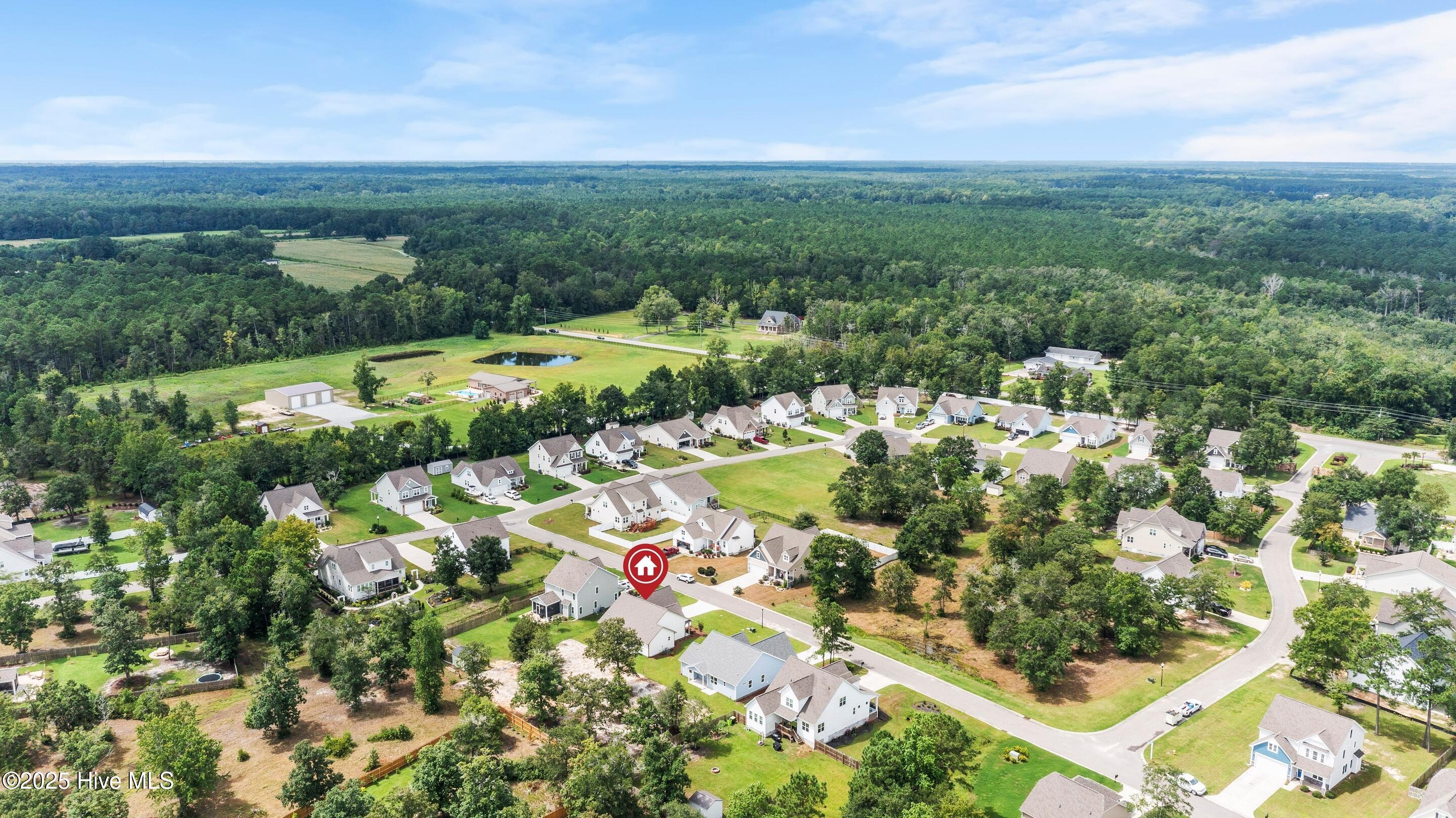 658 Sanctuary Point Southwest Supply, NC 28462 - Photo 62 of 82 mls-DJI_0280 copy1