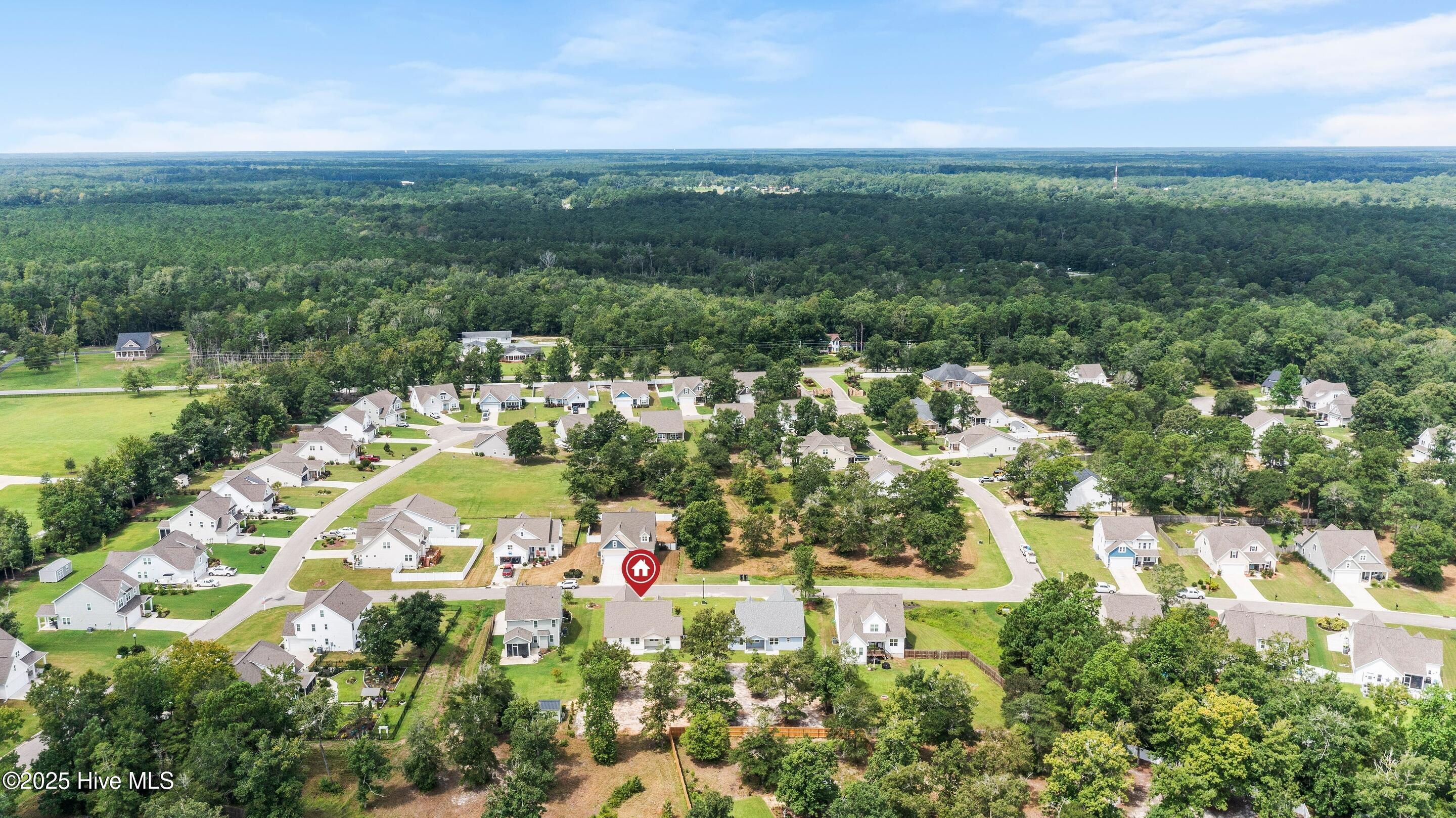 658 Sanctuary Point Southwest Supply, NC 28462 - Photo 63 of 82 mls-DJI_0281 copy1
