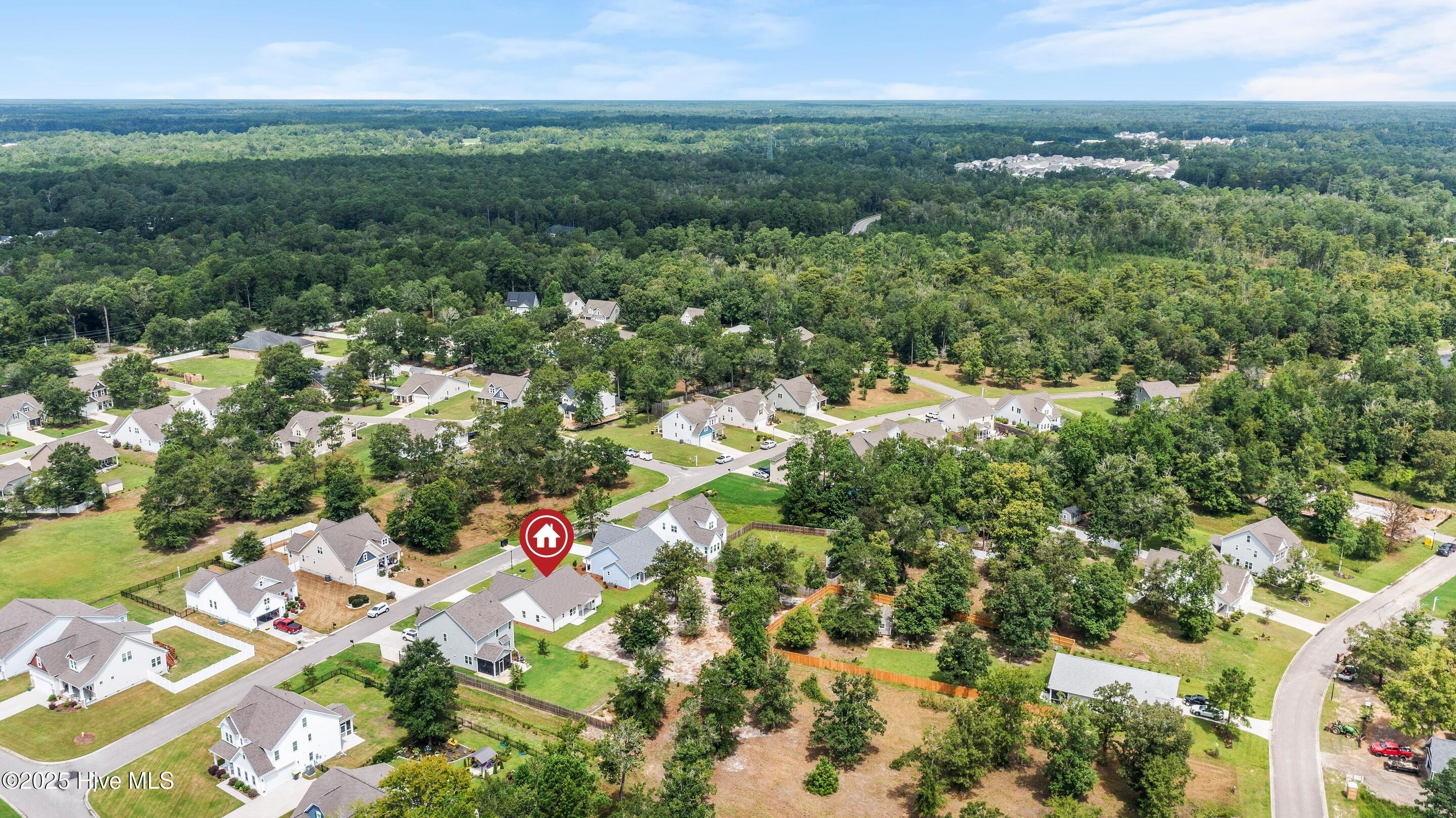 658 Sanctuary Point Southwest Supply, NC 28462 - Photo 64 of 82 mls-DJI_0282 copy1
