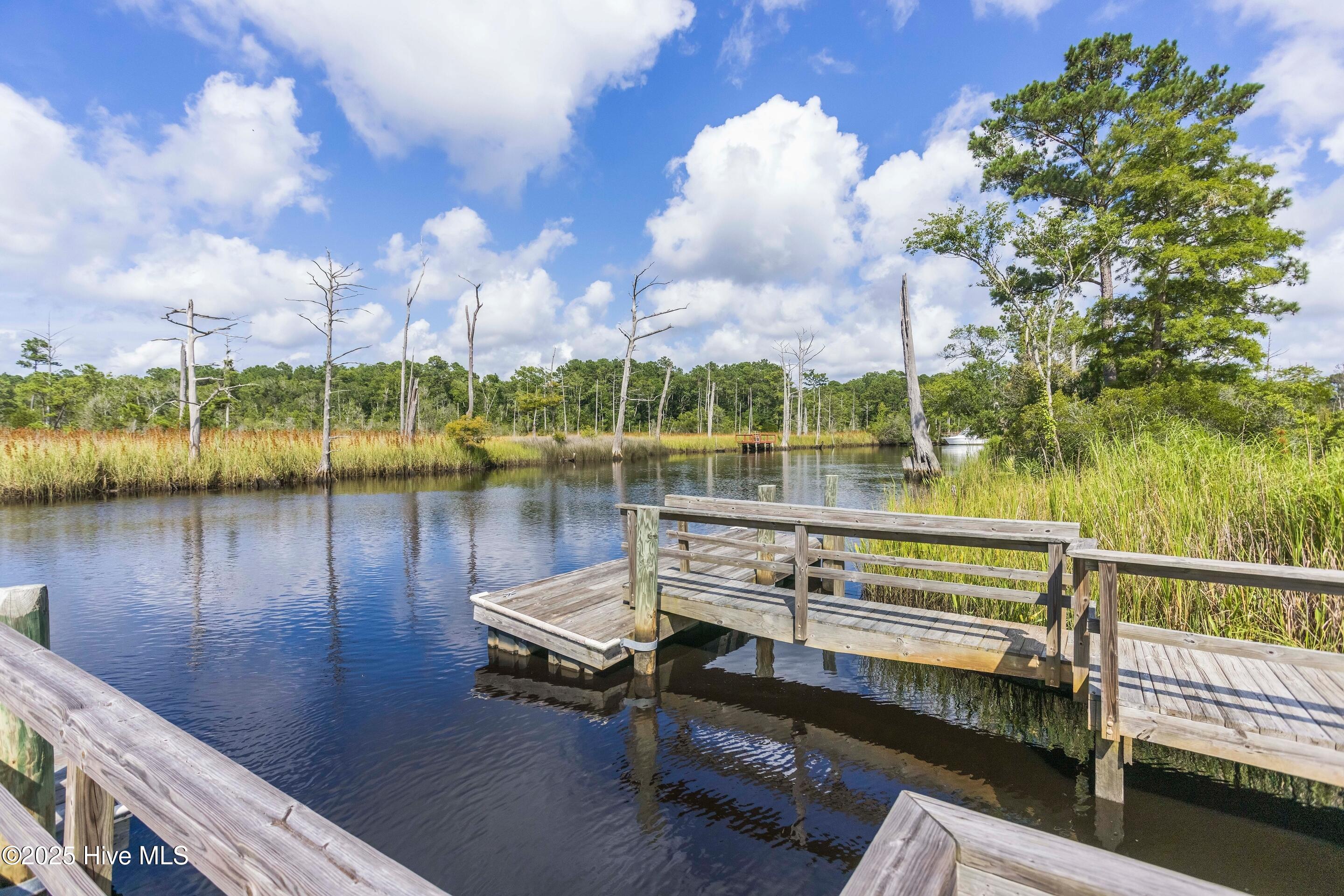 658 Sanctuary Point Southwest Supply, NC 28462 - Photo 71 of 82 mls-IMG_6246