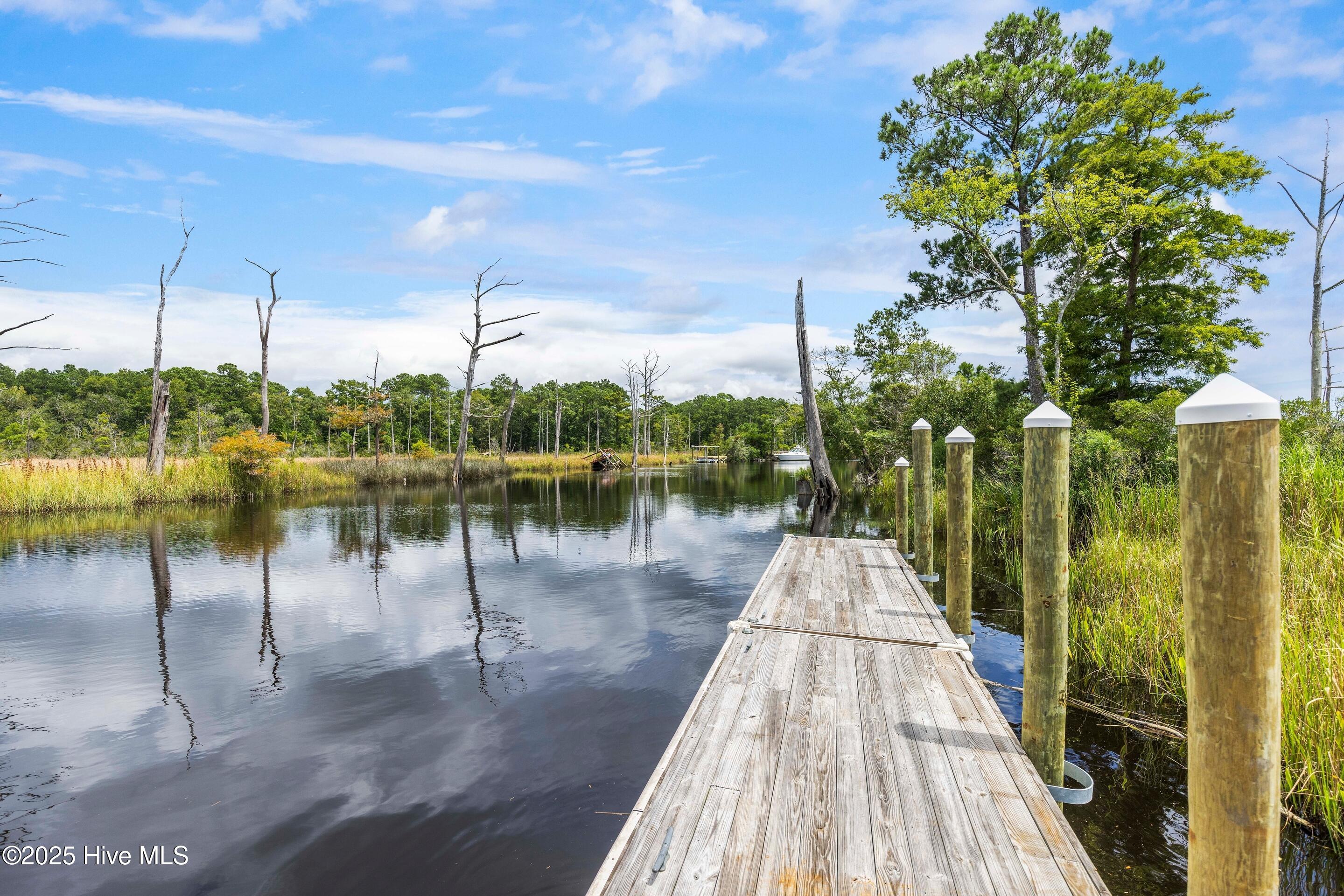 658 Sanctuary Point Southwest Supply, NC 28462 - Photo 77 of 82 mls-IMG_6305