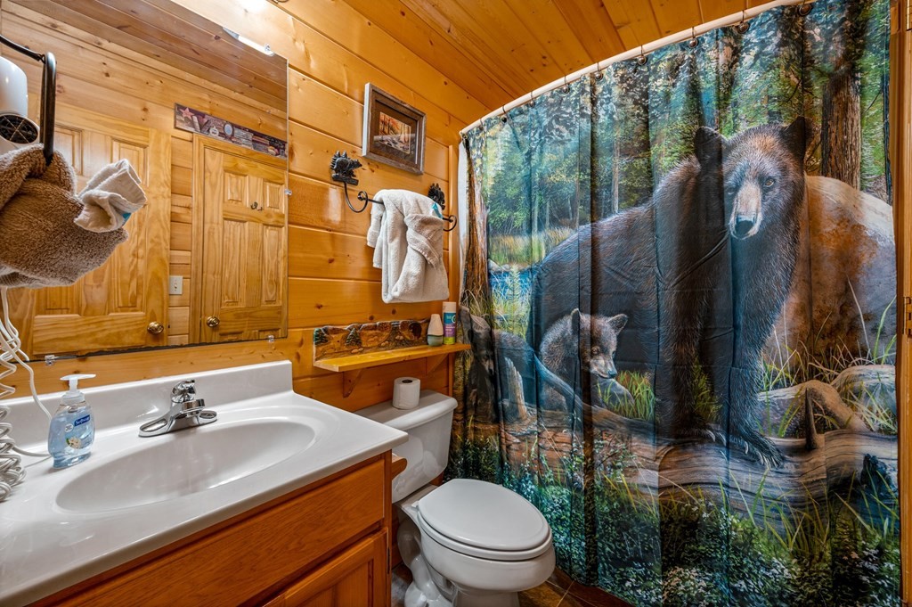 1540 Boo Boos Way Sevierville, TN 37862 - Photo 9 of 50 Gallery Image 9