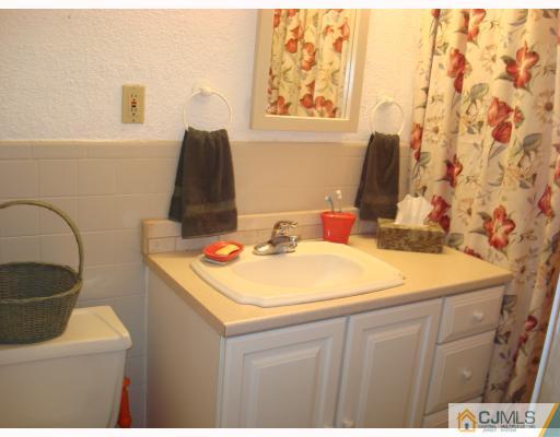 51 Brookville Road Edison, NJ 08817 - Photo 5 of 10 a bathroom with a sink and a mirror