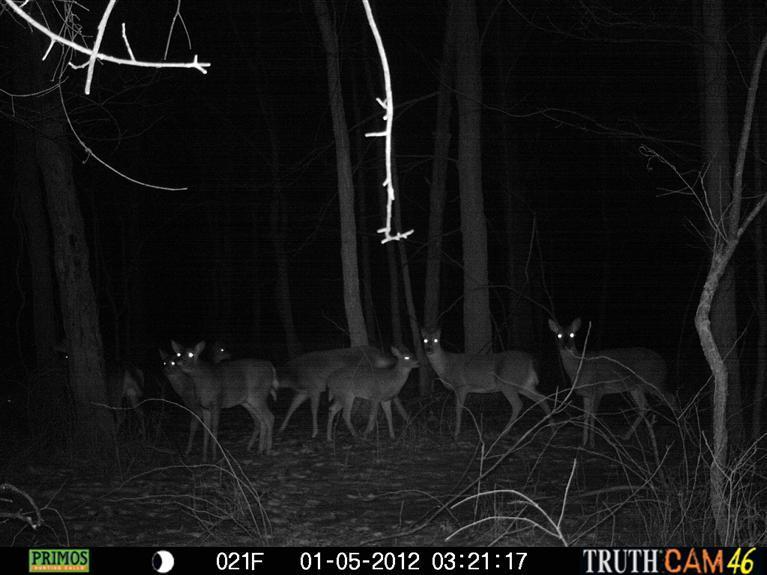 Athens Road Sherwood, MI 49089 - Photo 2 of 11 Additional Photo