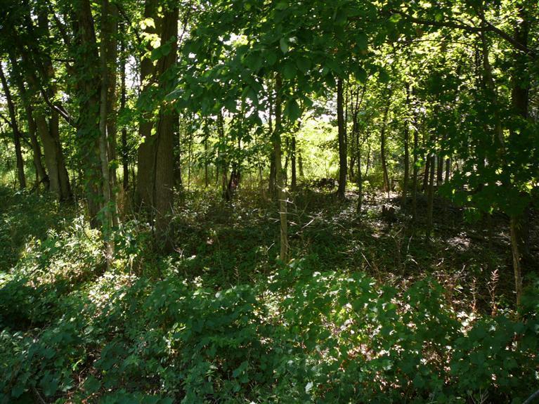 Athens Road Sherwood, MI 49089 - Photo 4 of 11 Additional Photo
