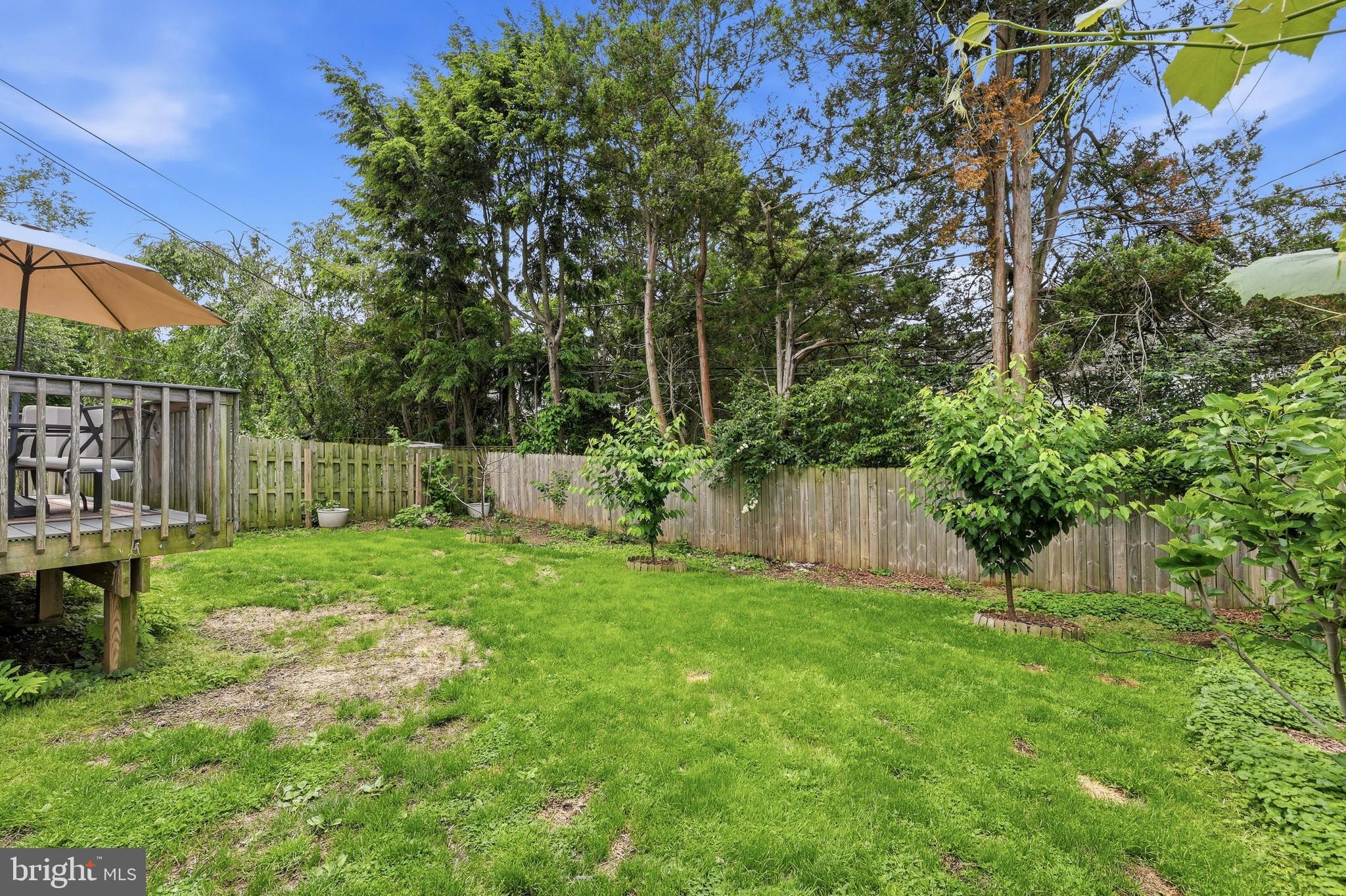 102 Rockglen Road Wynnewood, PA 19096 - Photo 24 of 24 Fig trees, cherry trees , blueberries and more!
