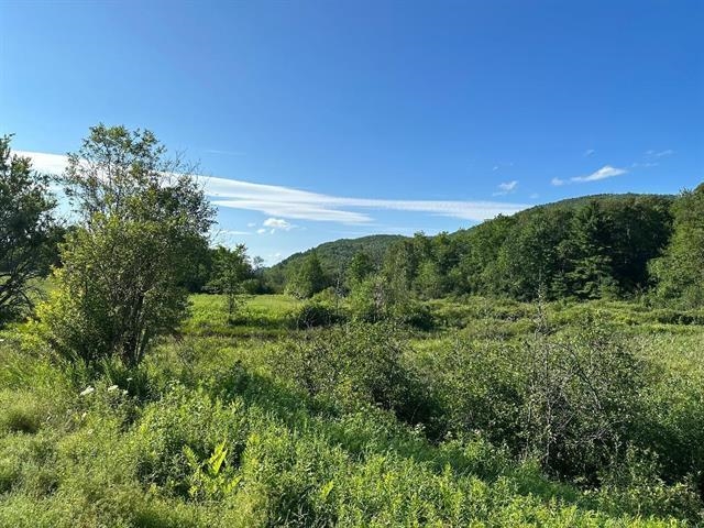 0 South Barton Road Barton, VT 05822 - Photo 1 of 11