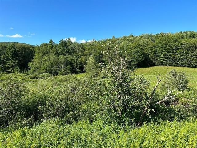 0 South Barton Road Barton, VT 05822 - Photo 2 of 11